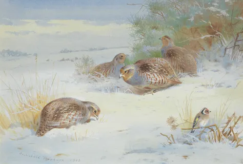Archibald Thorburn - Partridge and a Goldfinch in a Winter Landscape